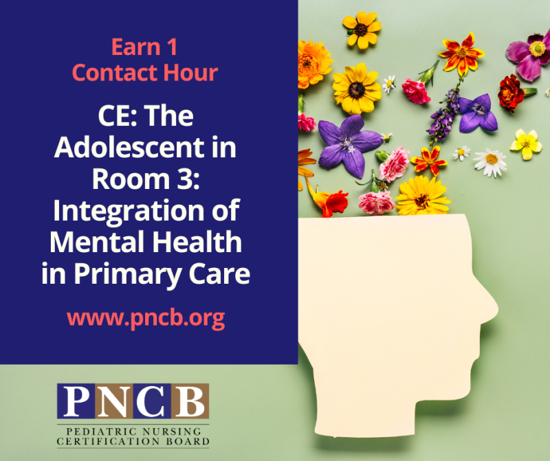 Blue and Green image with paper silhouette and dried flowers. White text reads CE: The Adolescent in Room 3 Integration of Mental Health in Primary Care